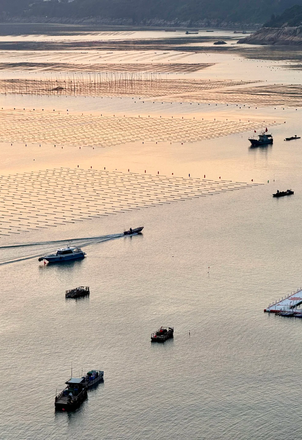 00000000FFMSeLmpdaOJskos