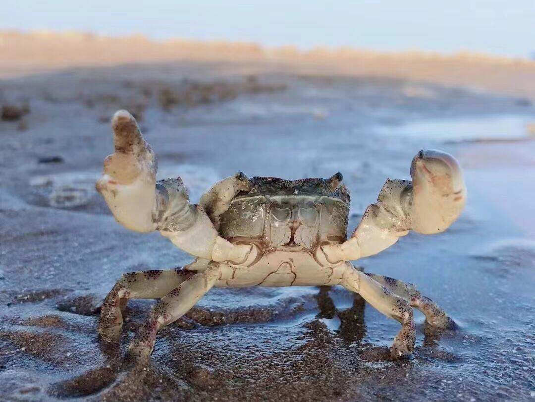 00000000FepIAbnElXKLvbut