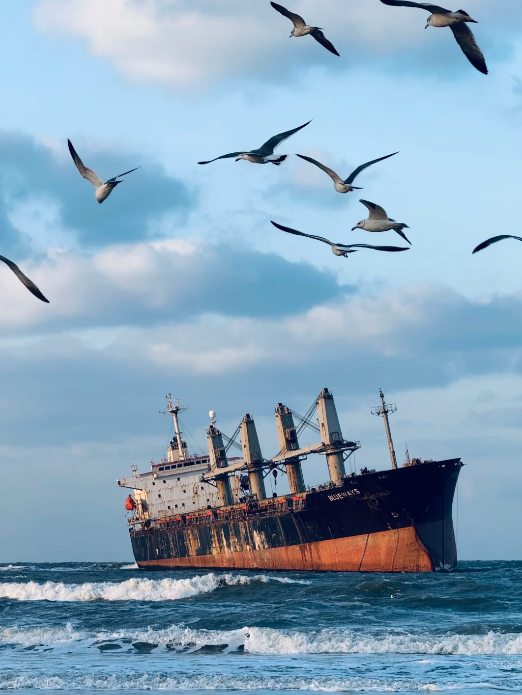 00000000FpRajOlrDhAgVyNC