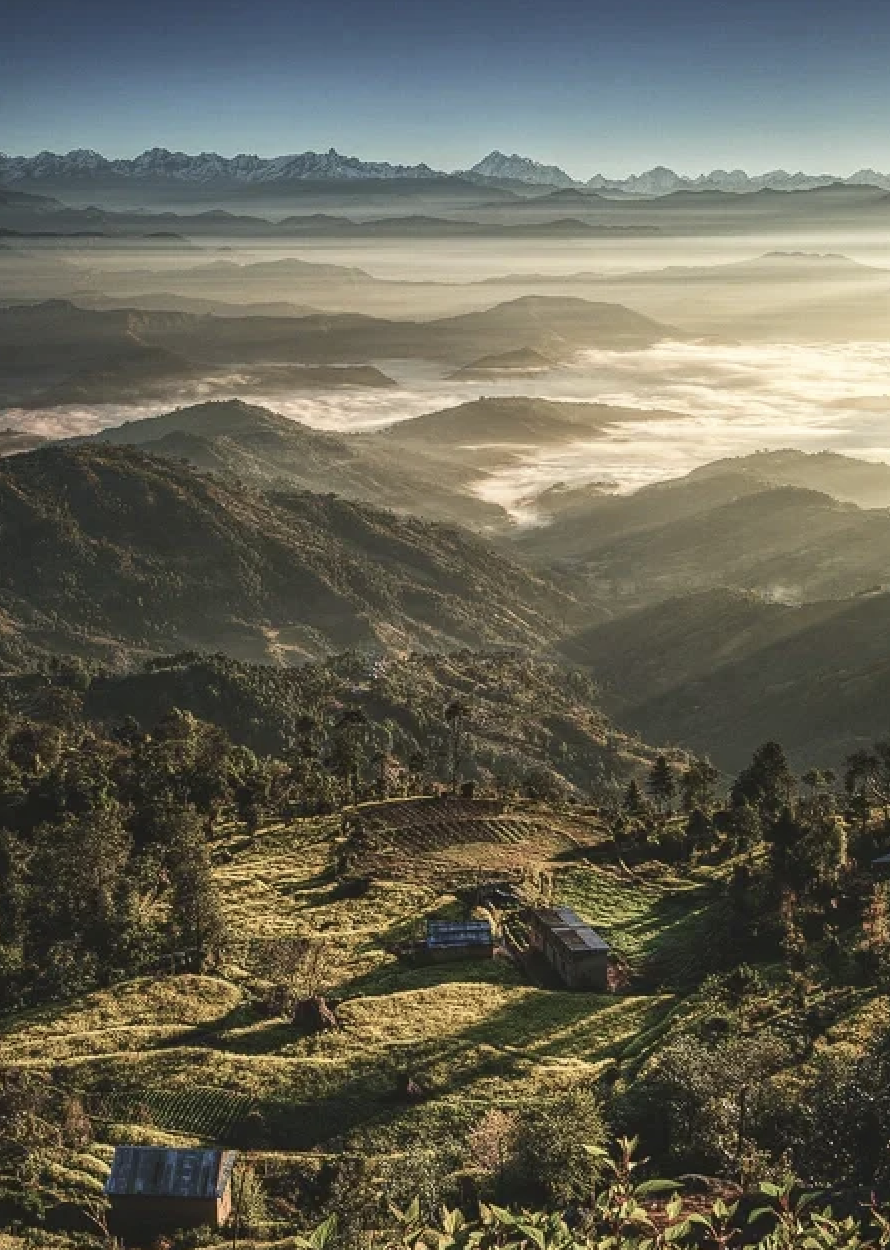 00000000HAzLlAiUfPRZpUed