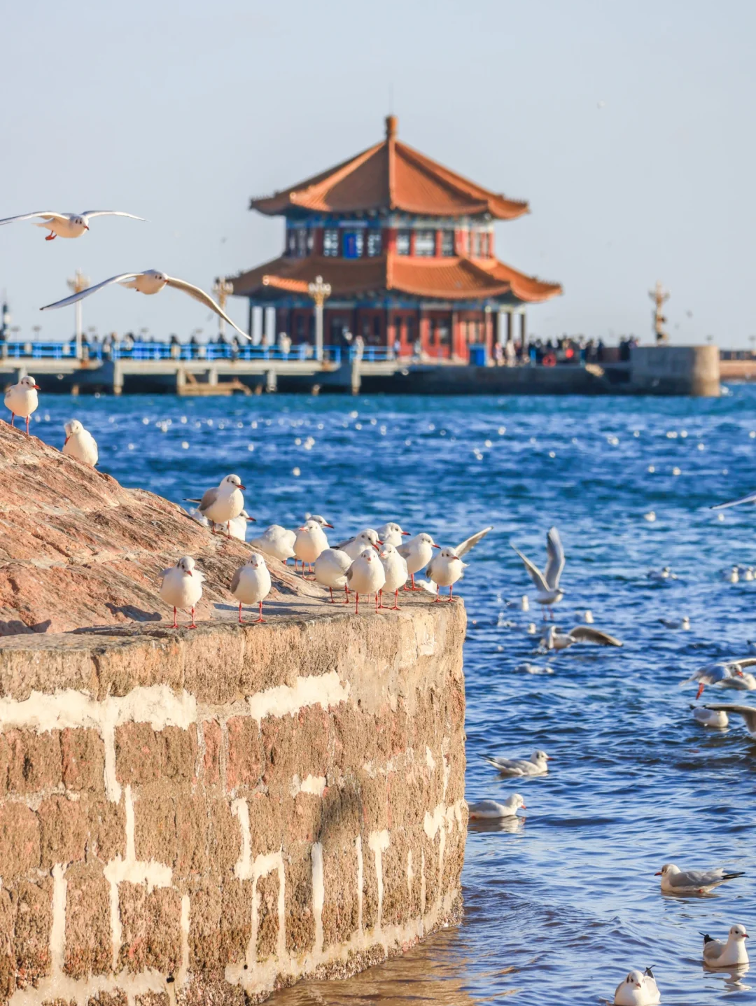 00000000HpHqTYVragQXKPLk