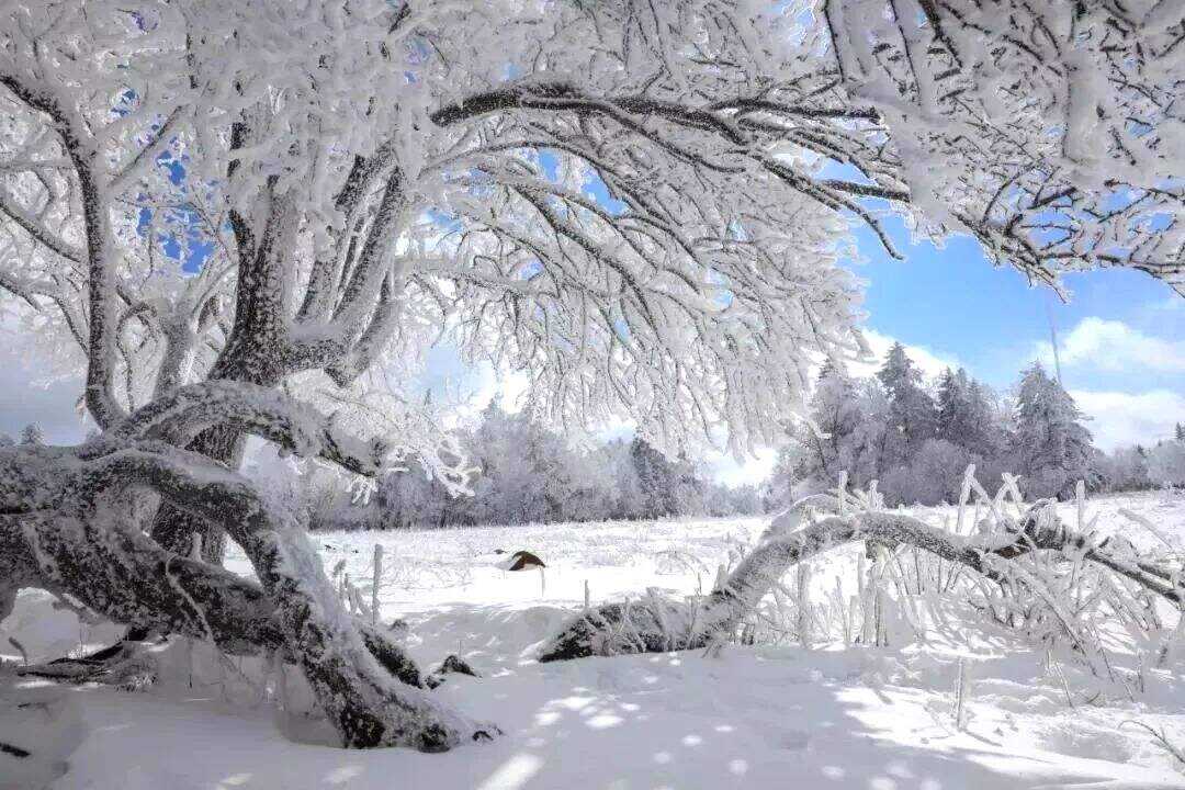 00000000IEgyprOCyDmqvvbr