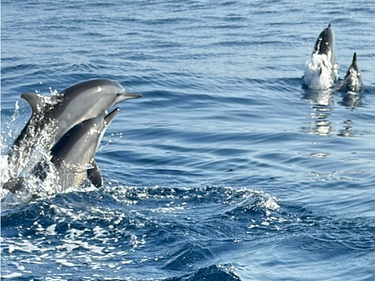 00000000IFUtCktQeyEZeouA