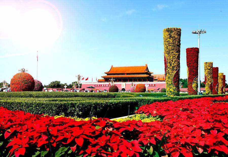 00000000IqWAxClMtqIztAmi