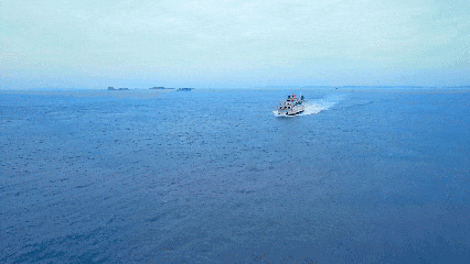 00000000JGtYHGgSGumbLXXc