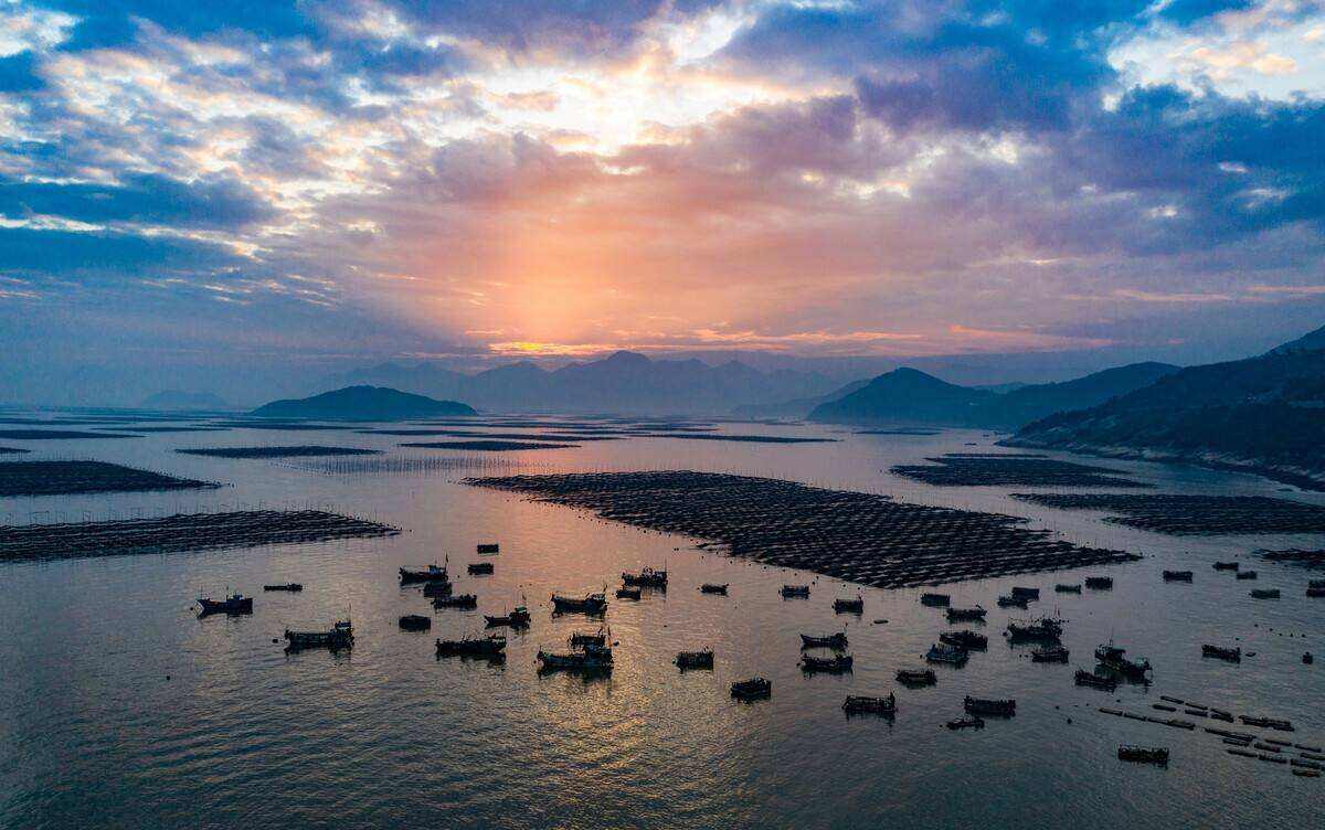 00000000JIeoGEeRrOUqQEbi