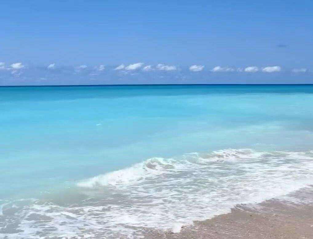 00000000JYRvcGzSjfbJJvCe