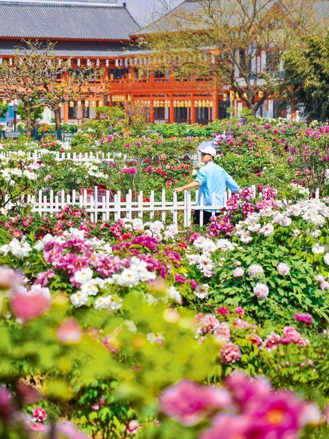 00000000KCznDhSFdCFiotSo