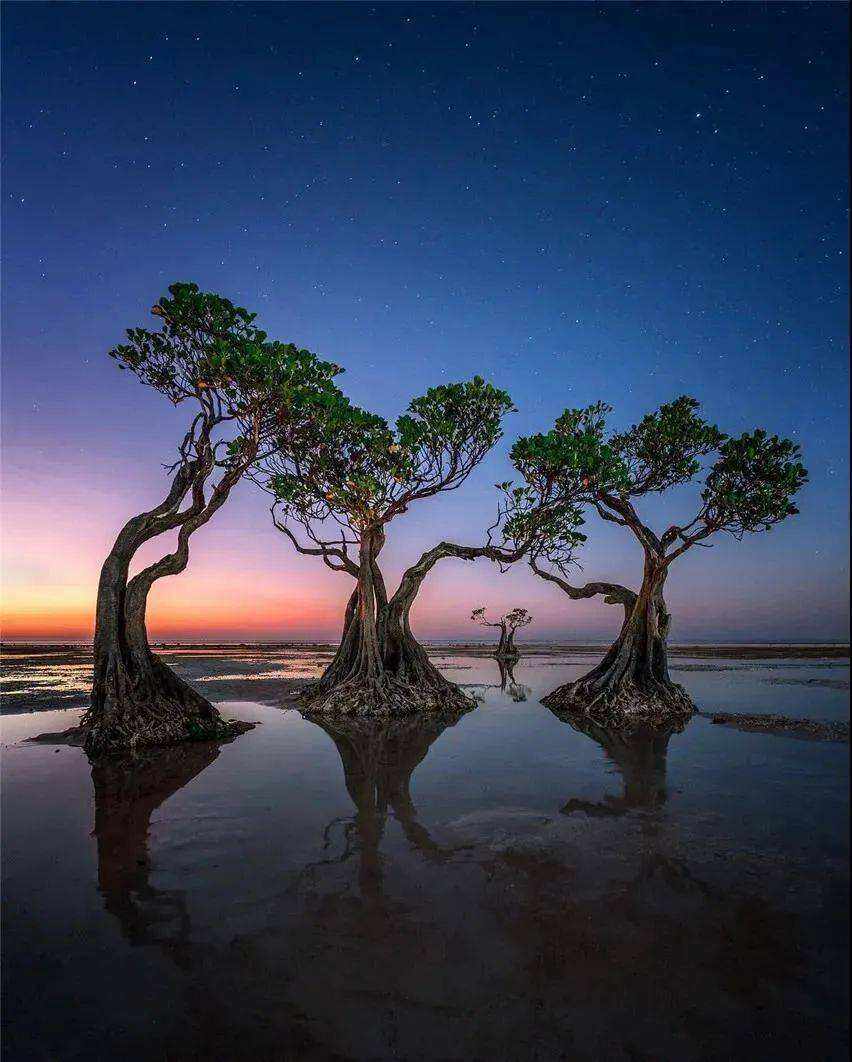 00000000KGOciyPprGMNBEwO