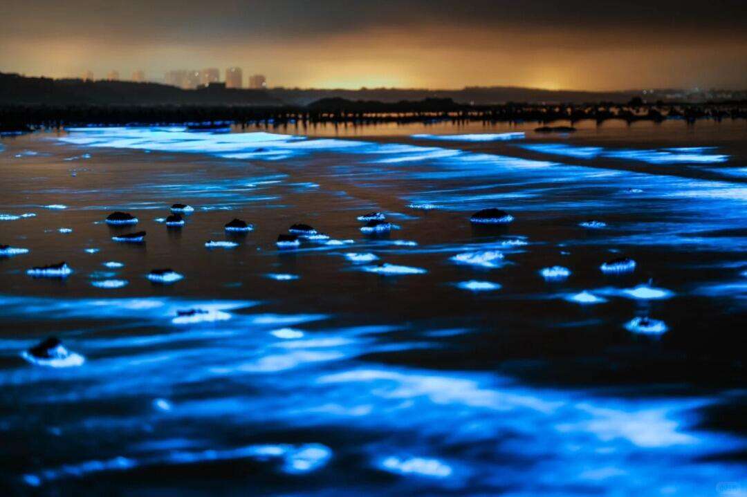 00000000KqXSsgSQoxLRuHQN