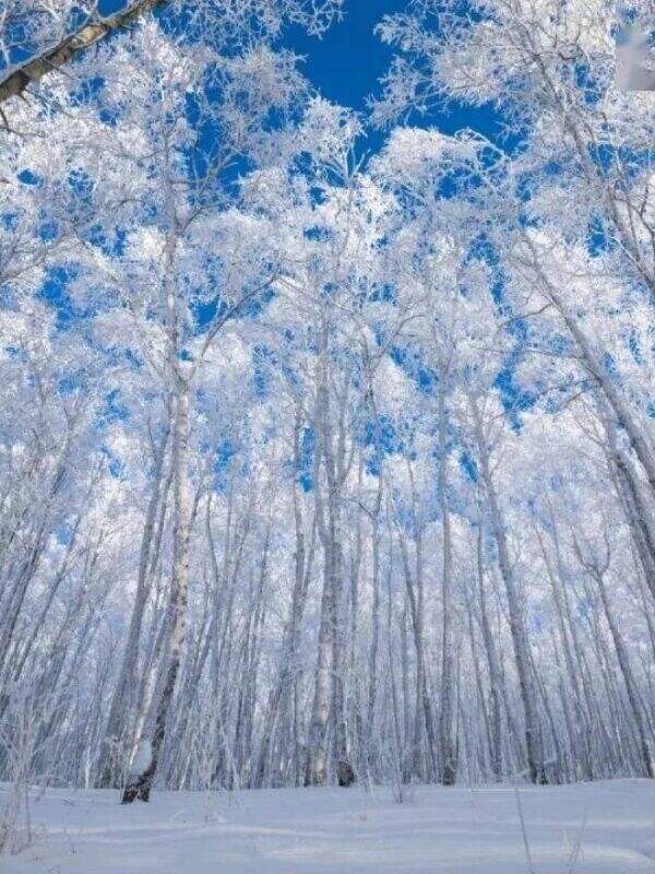 00000000KyzbdxRKnFdPsyGl