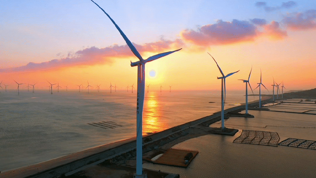 00000000LJcSFFzfQLBMMOss