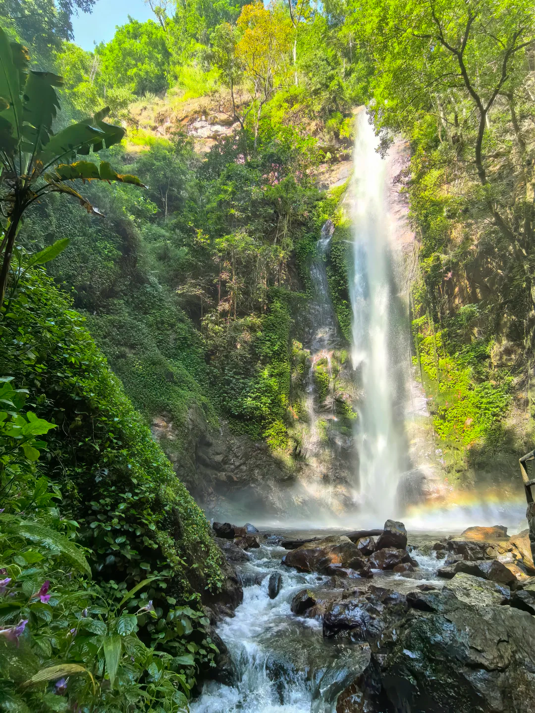 00000000LOFNYigRsXhyCSae