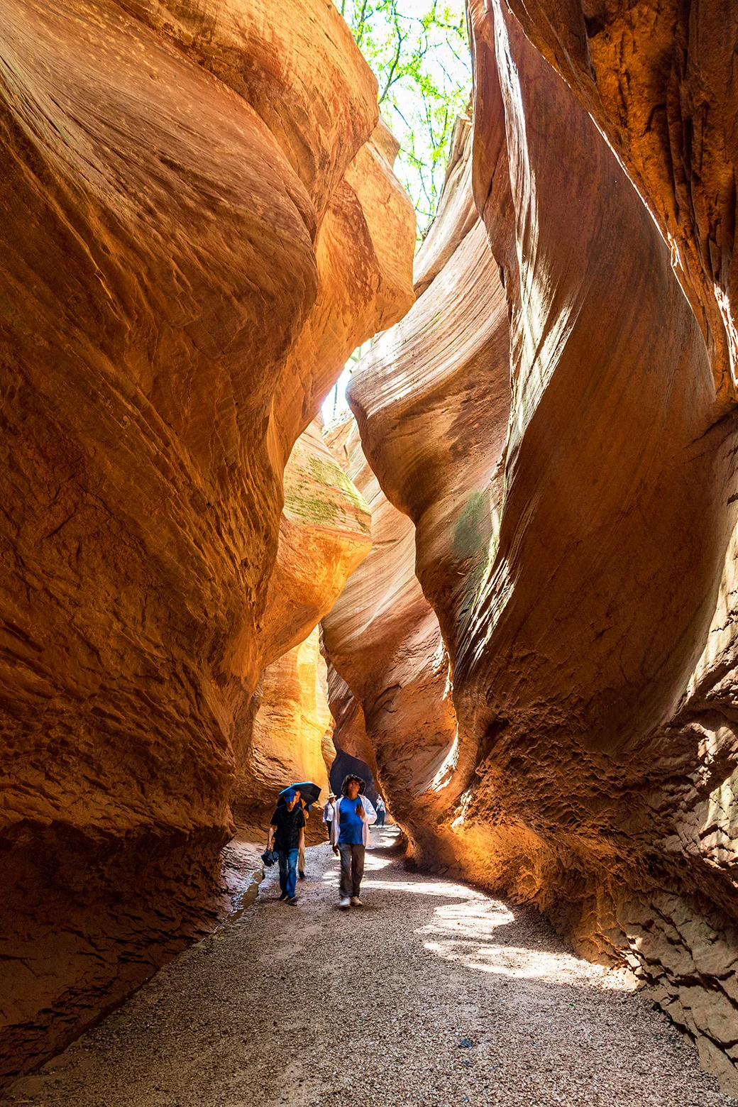 00000000LgoZjyhpBDxfpOuC 00000000LgoZjyhpBDxfpOuC