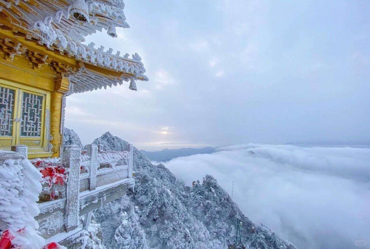 00000000LptbzSsvnHCnKttO