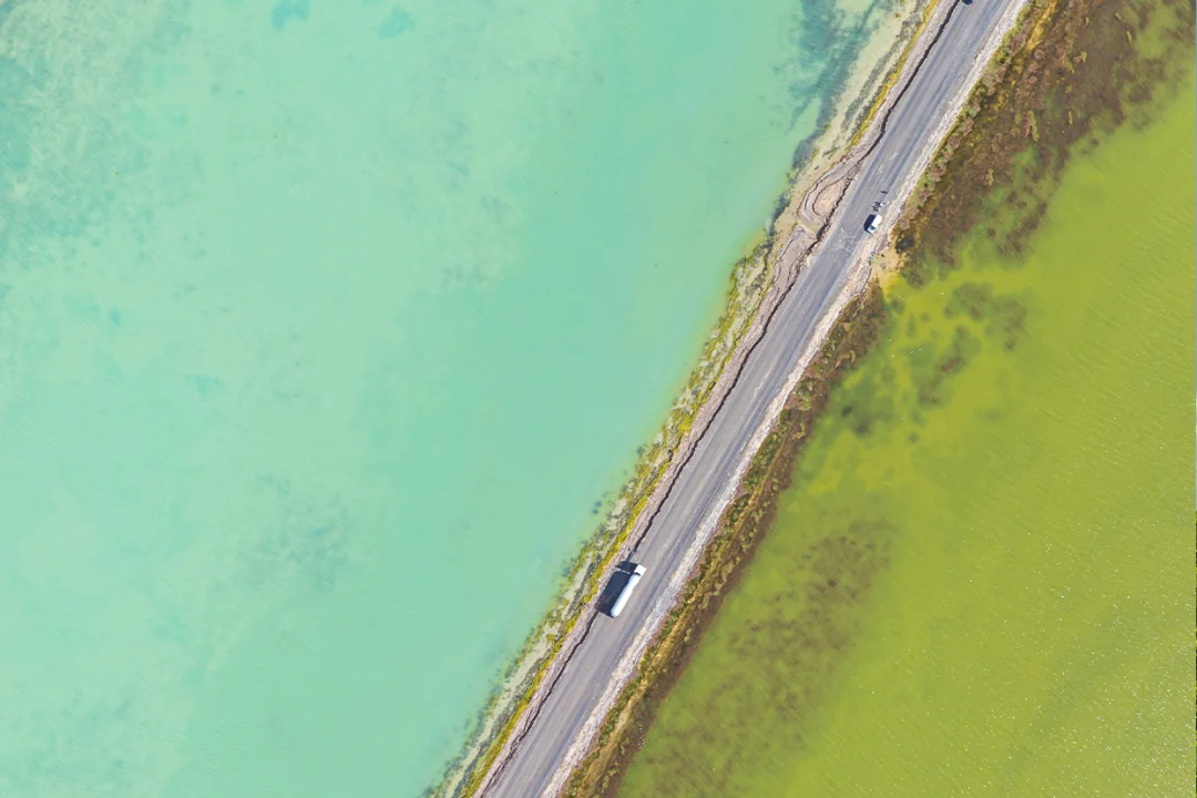 00000000LvSWxWitQKLdFDNU