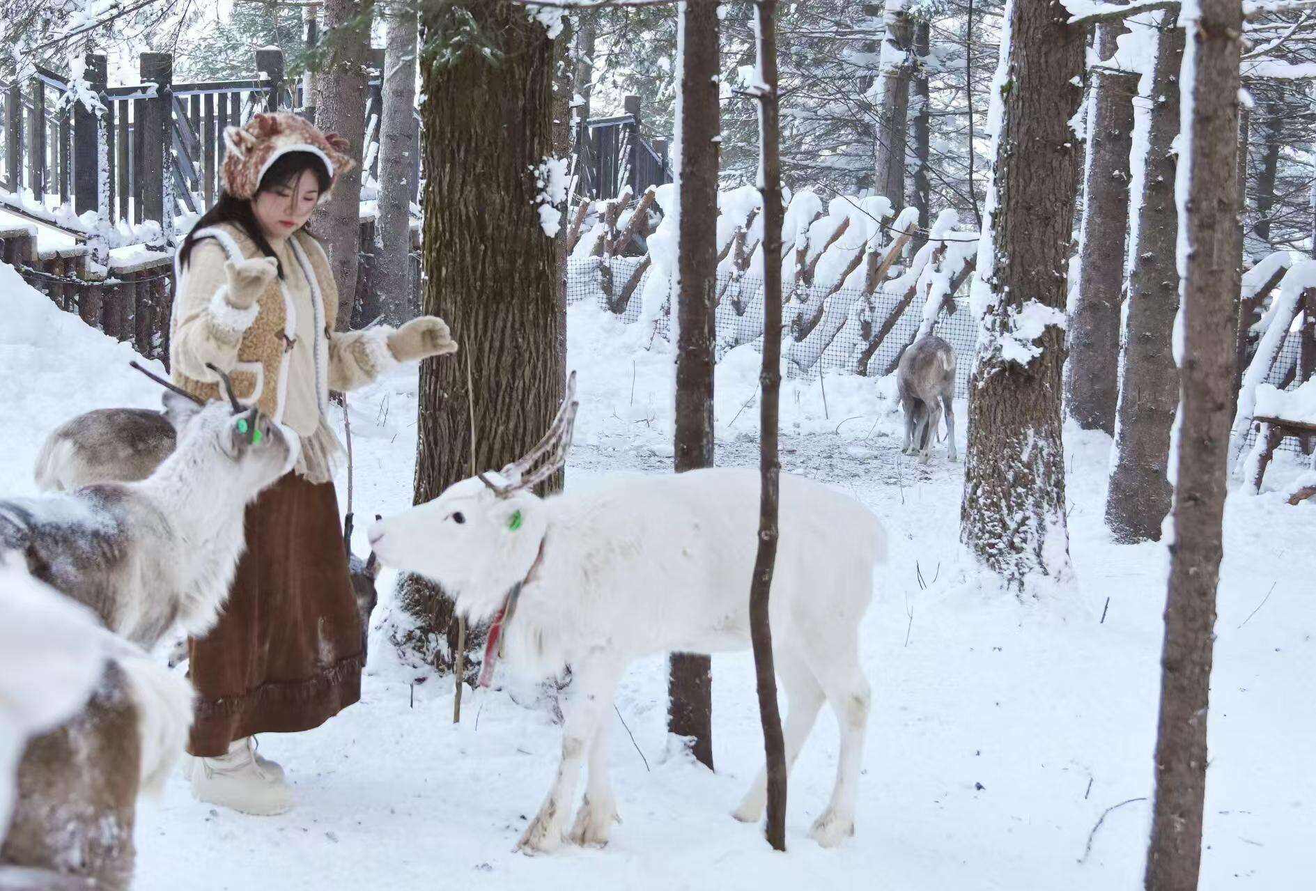 00000000MHRMVAraVKCbfUtz