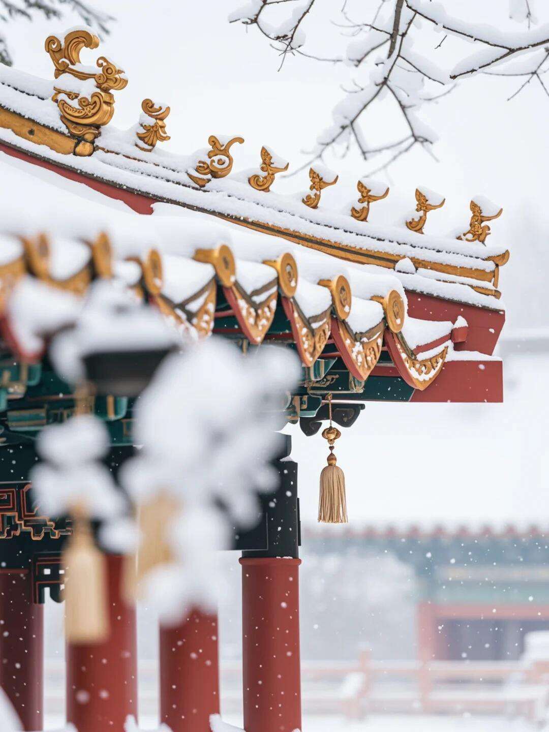 00000000MsaDFIqzJaQKexVI