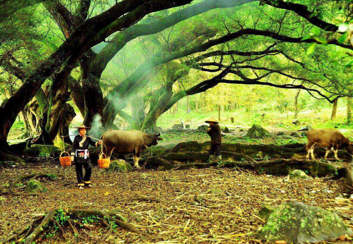 00000000MvNpPbsxqozxINVl