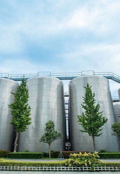 00000000NZHIHwGqbxBbqPWY