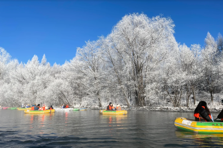 00000000NgfDhYyxZFJJUIrR