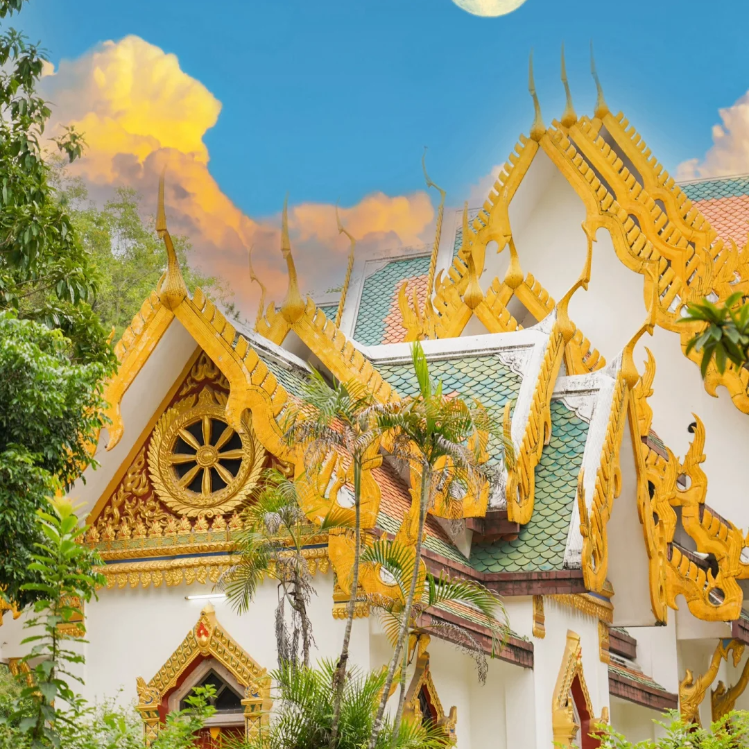 00000000OECiKAMOQqmZWSPo