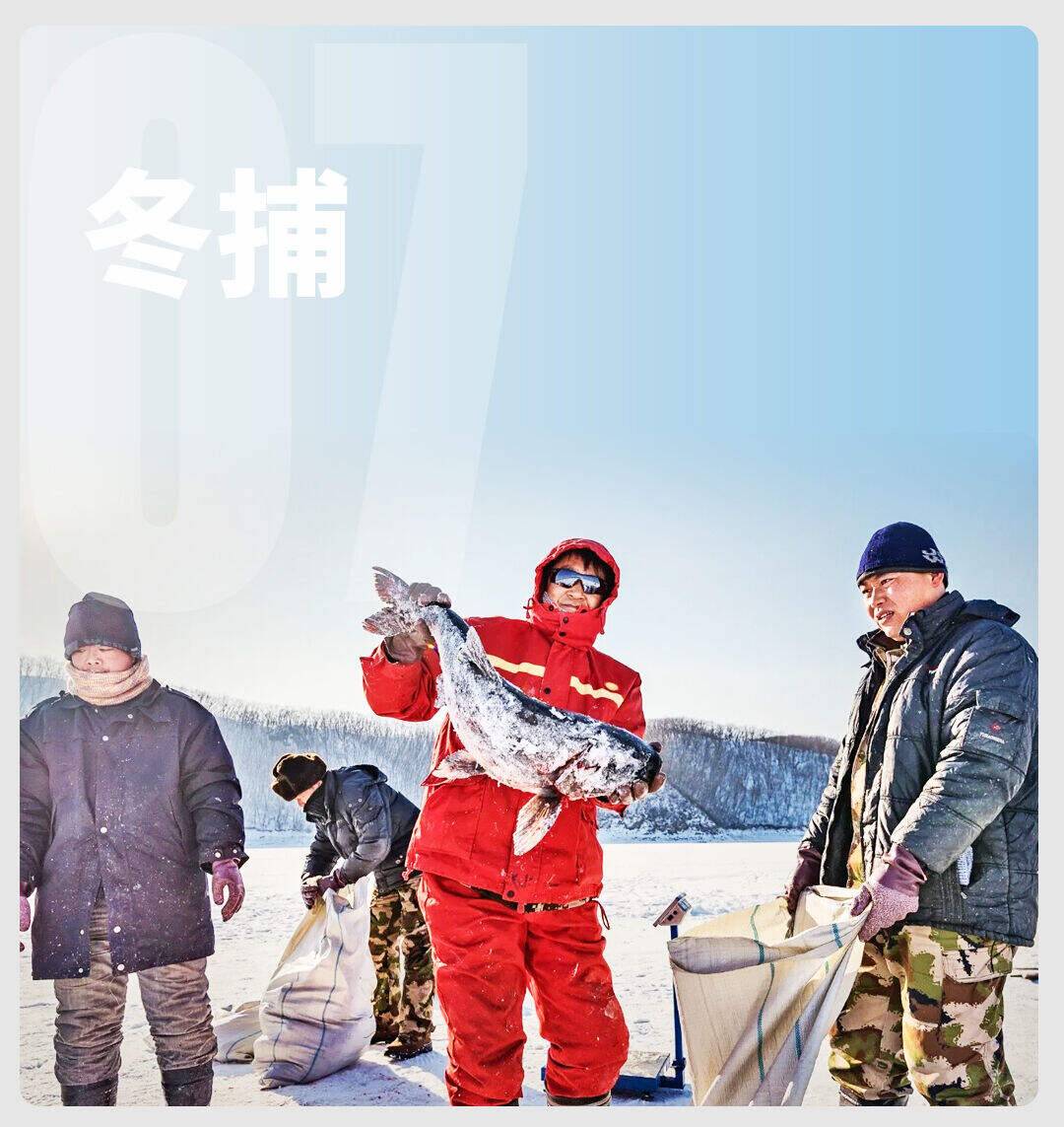 00000000OEUofdMLCFjqBnMA