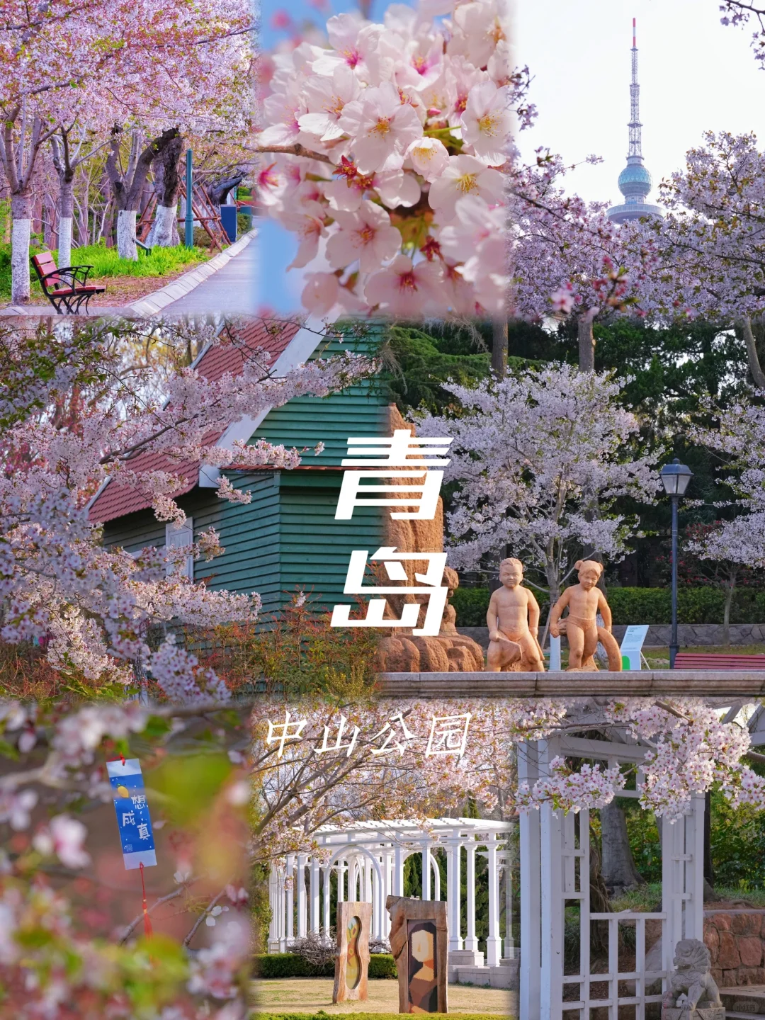 青岛赏樱花|深度青岛全景+嗨玩西海岸双动5日&纯玩无购物+奢华住宿