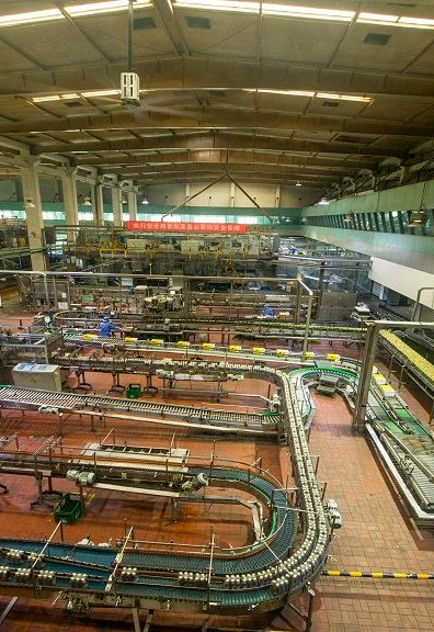 00000000OTiIzVOpoeelhwAn