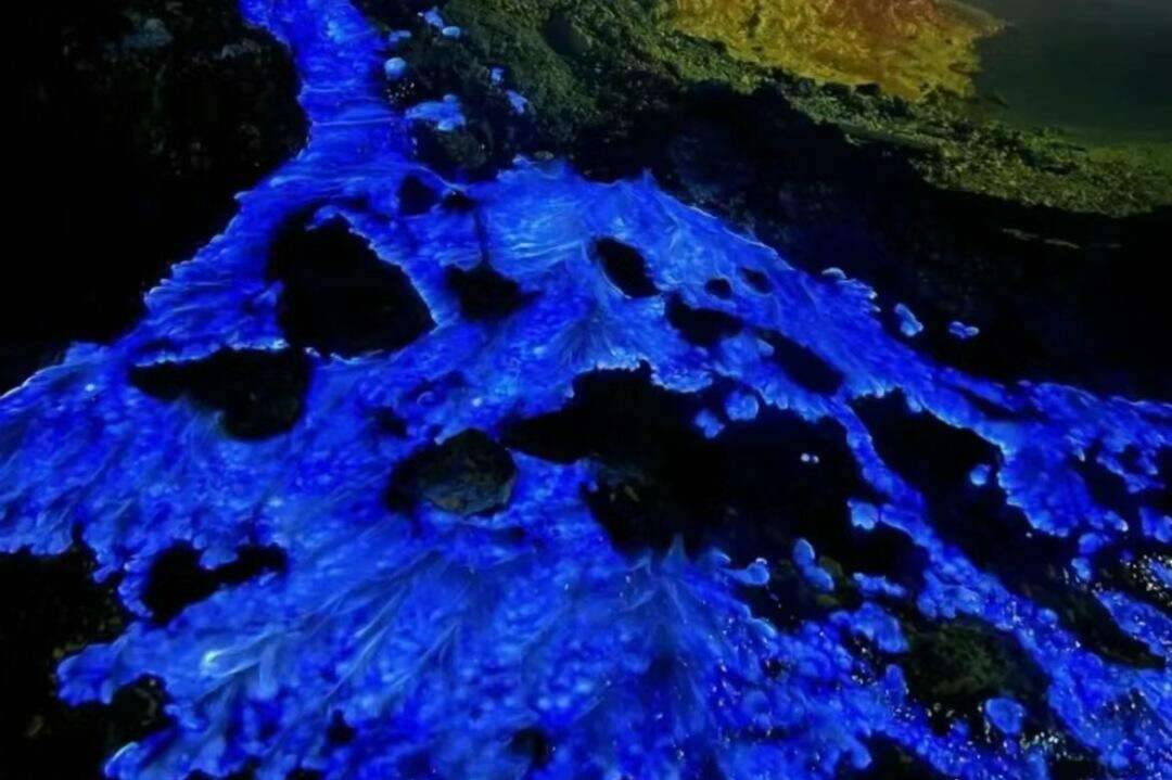 00000000OedWljTkTYNcvNHH