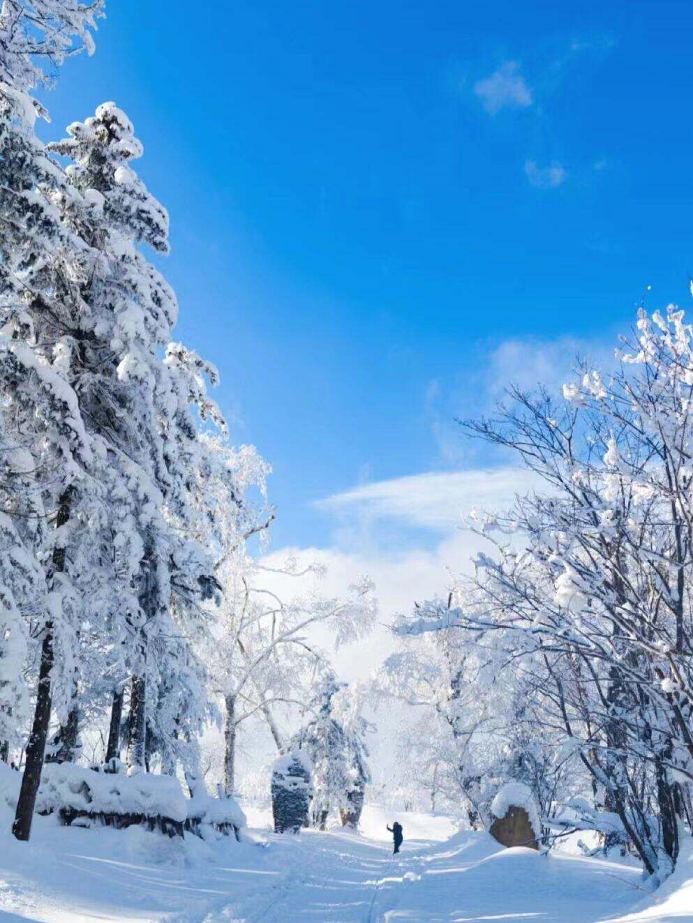 00000000OhyXcdyBOJWYqKXx