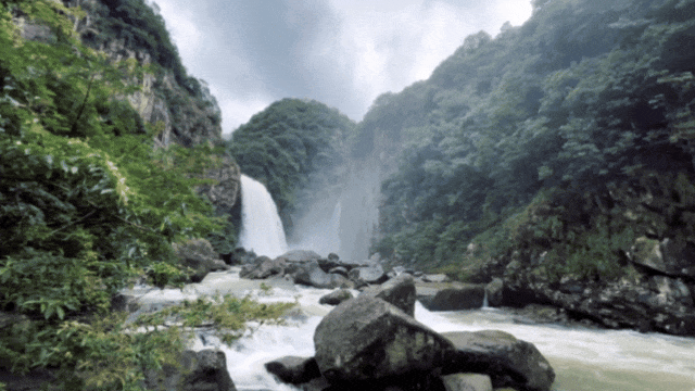 00000000PzCqFopSCOcJqTCX