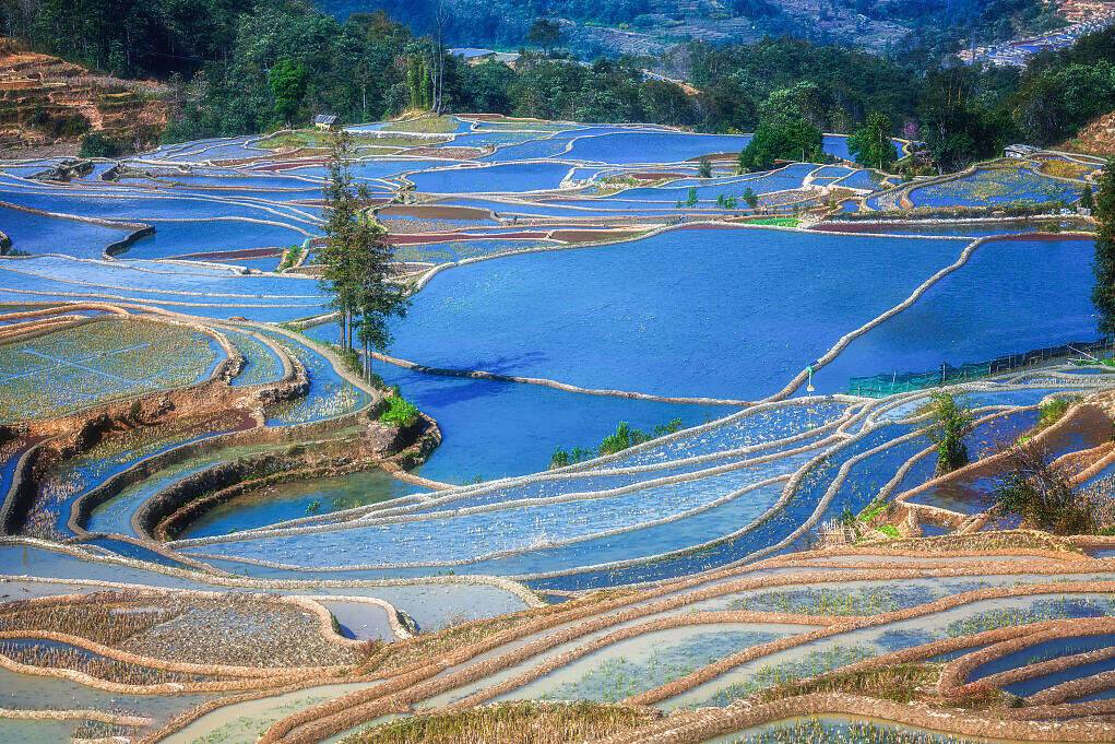 00000000QFNiqWTBQkGpzaVl