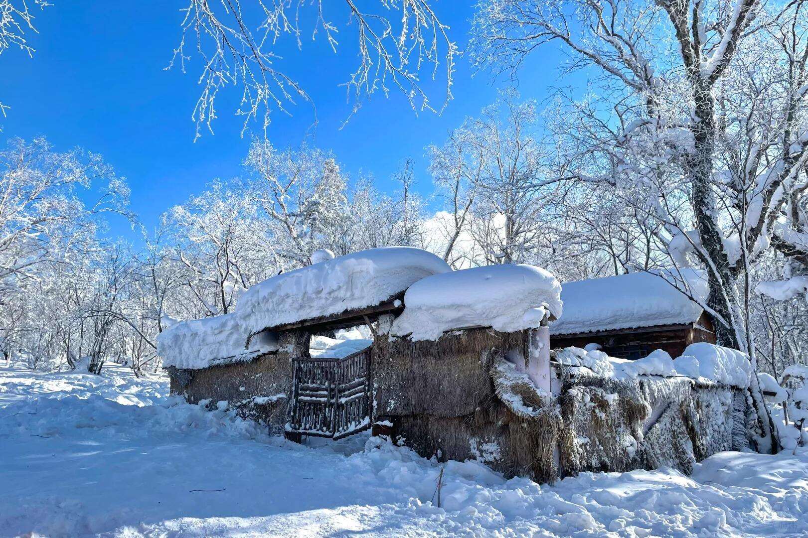 00000000QLCLWxdeorAzohaF 00000000QLCLWxdeorAzohaF