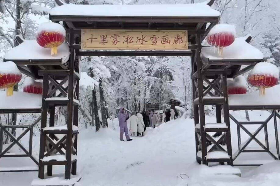 00000000QLPEnELGCTQWRlBa