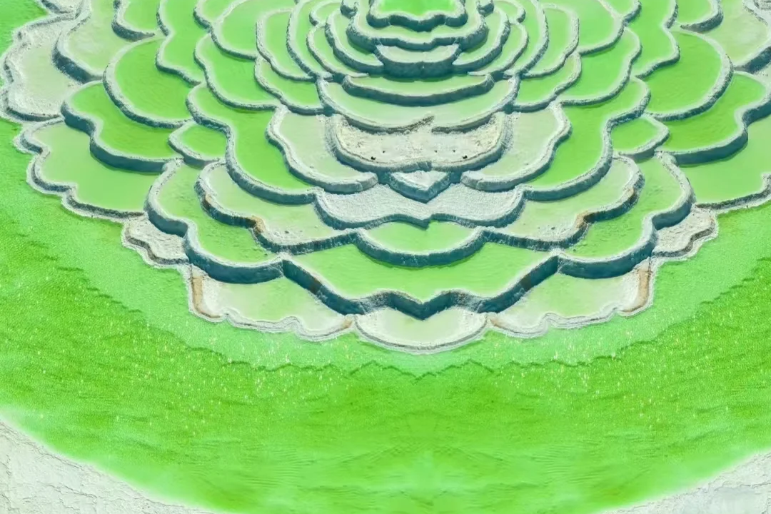 00000000QNRrGArUSxttIpNF