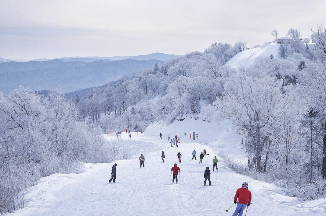 00000000QoKYlabytrKDZVoX