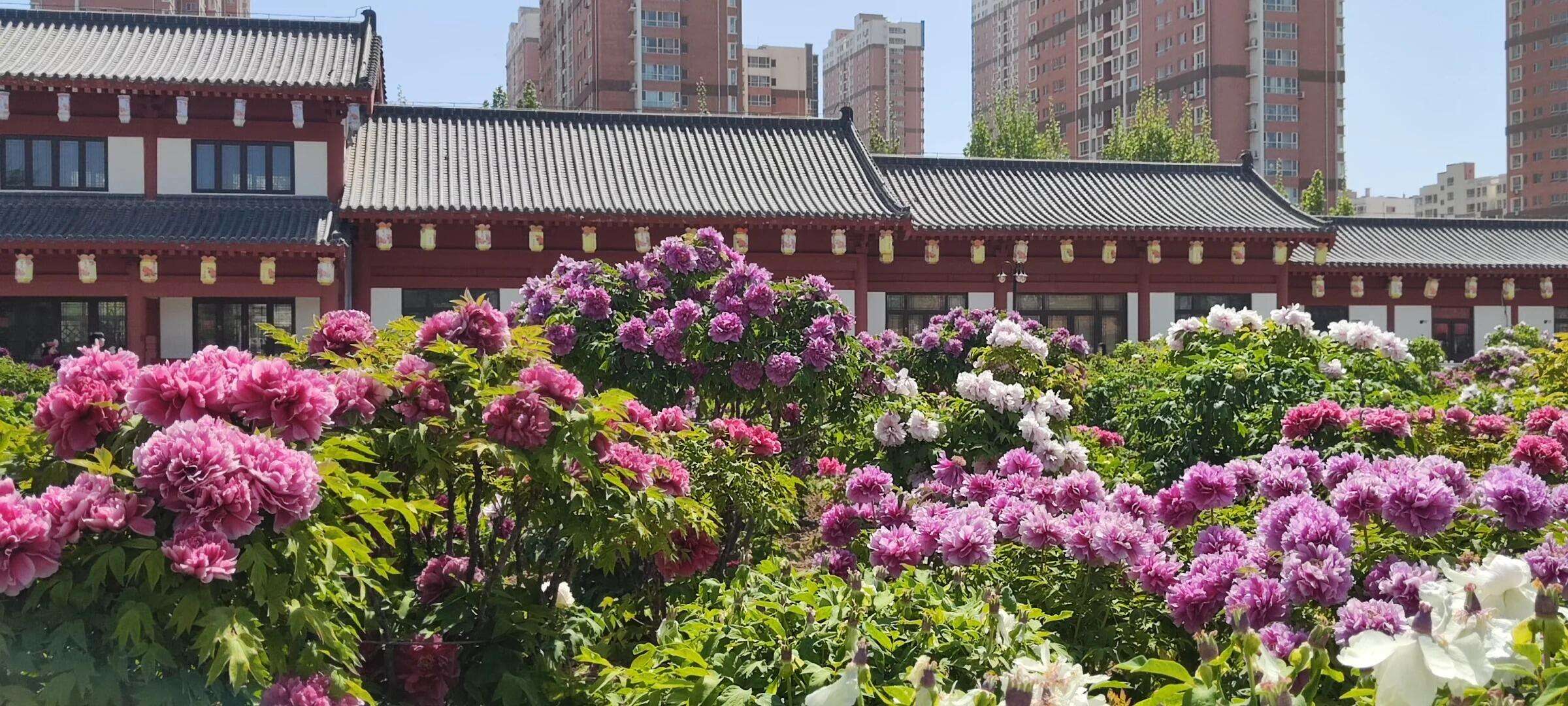 00000000QpKefZgGcECtqkar