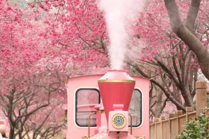 00000000QuGNpeDkJUJDrENe