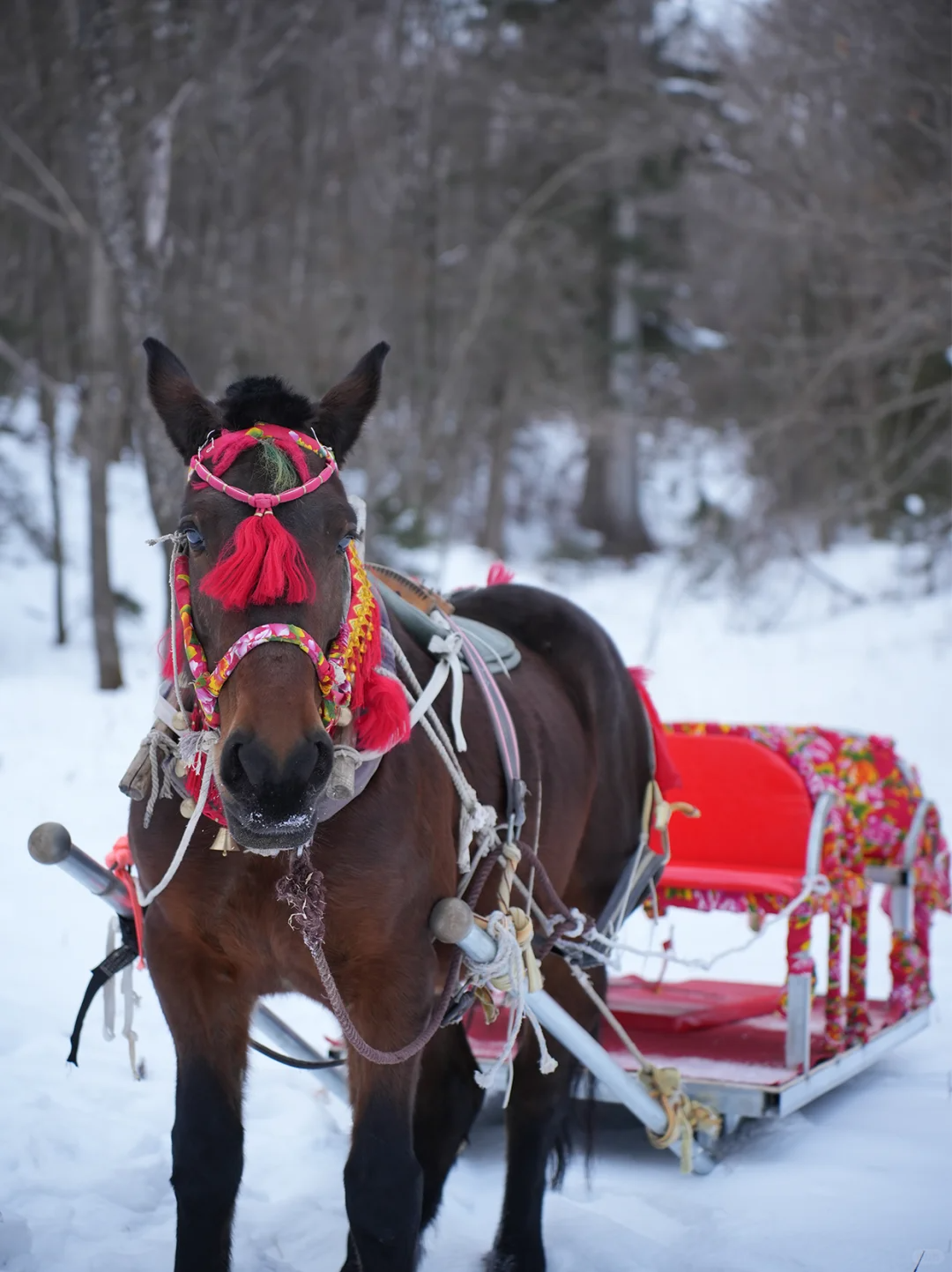 00000000QupYwKInoNxZCqta