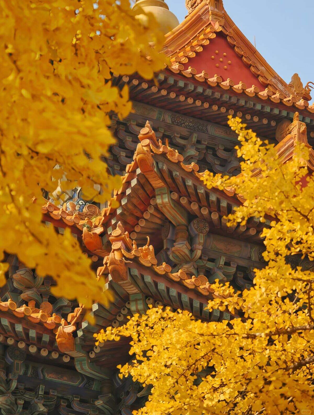 00000000RBeDoBzenysJfFjE