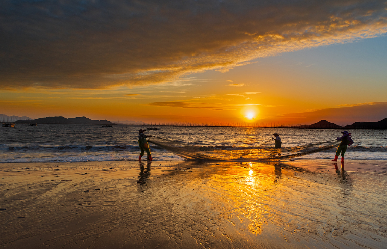 00000000RNyREVtHVccQVRdR