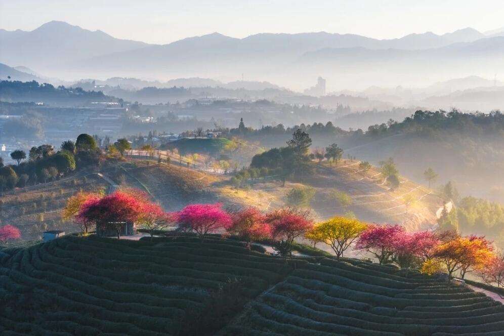 00000000RPvajIzrtTvYTkSG