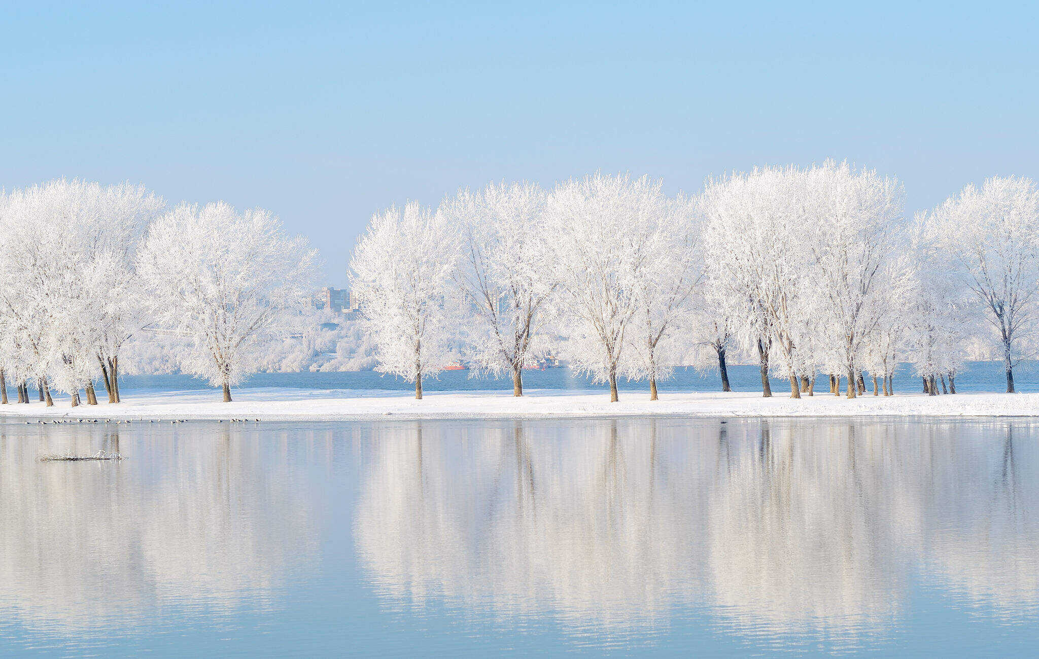 00000000RncxJhfSWAQCOquY