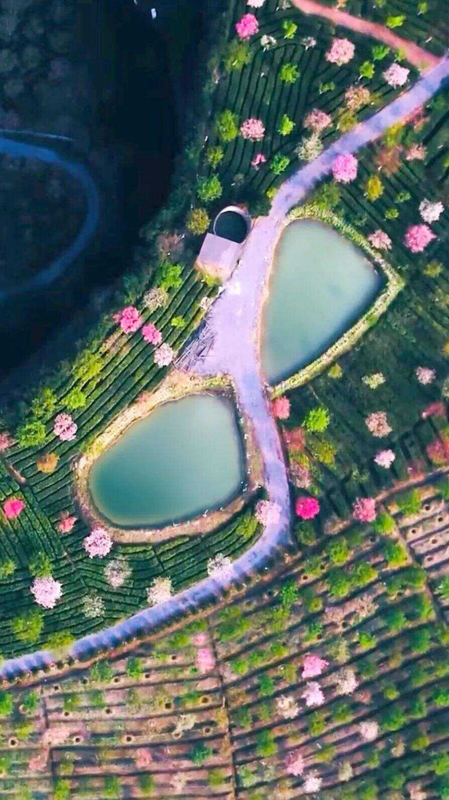 00000000SikemhRrxYxTtufm