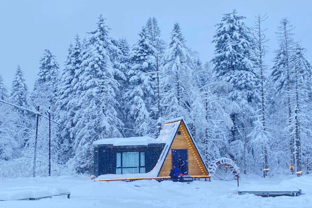 00000000StLNreckCEcpKNch