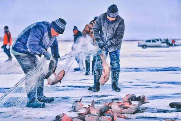 00000000SuAYXrEBxVgevtsk