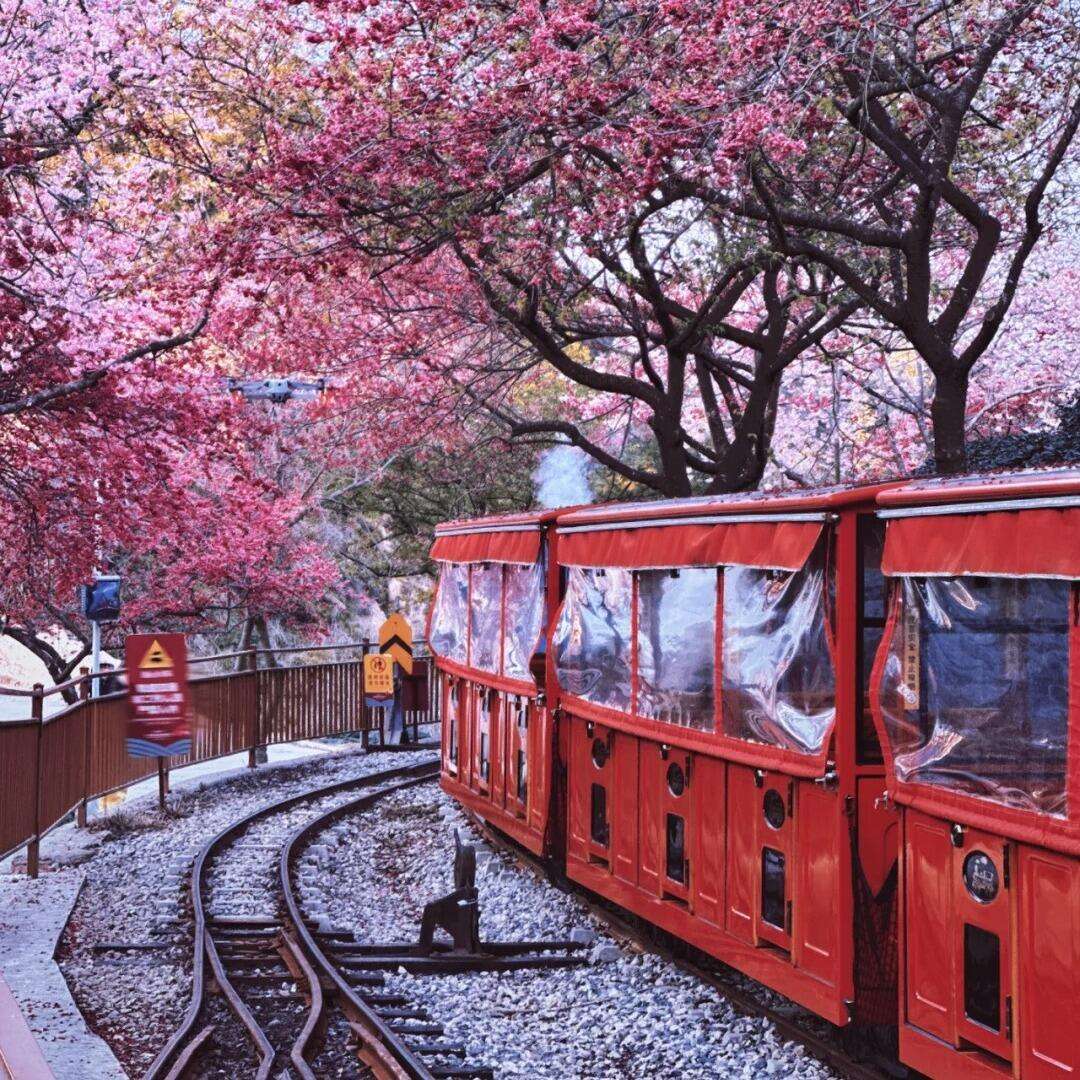 00000000UNaGnbSAOsQcAEZx