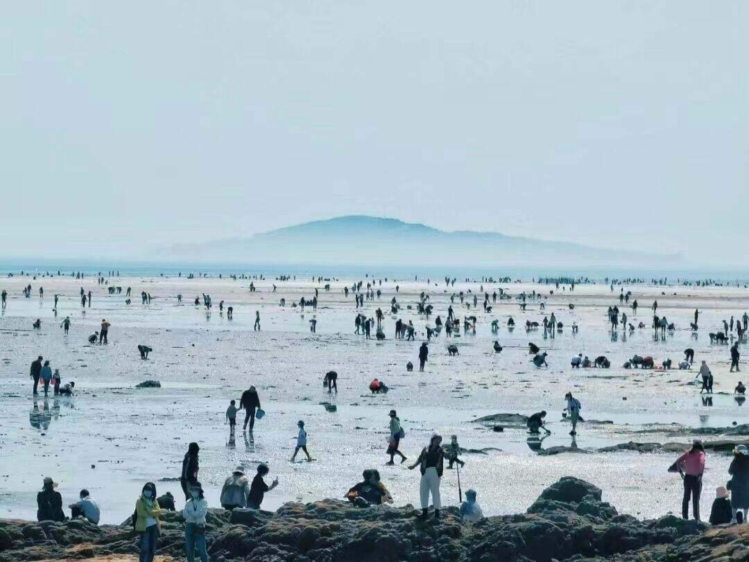 00000000UOwXzpqdBJGVEsVu