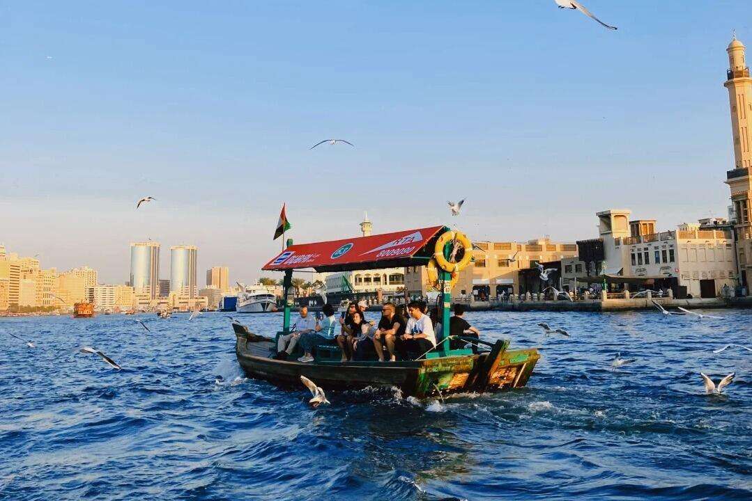 00000000URyxbFibswQdtAim